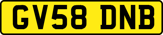 GV58DNB