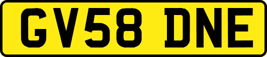 GV58DNE