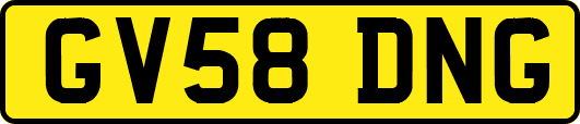 GV58DNG