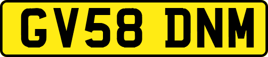 GV58DNM