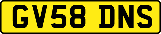 GV58DNS