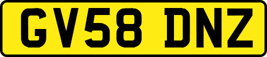 GV58DNZ