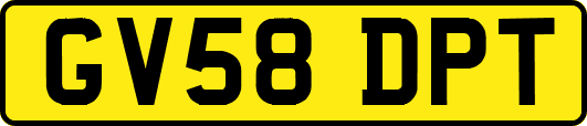 GV58DPT