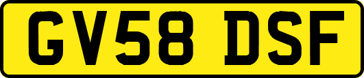 GV58DSF