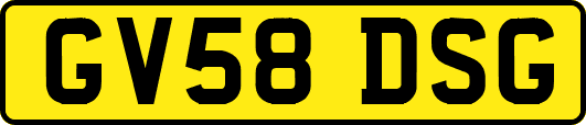 GV58DSG