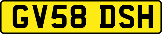 GV58DSH