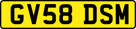 GV58DSM