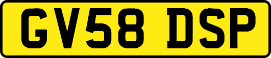 GV58DSP