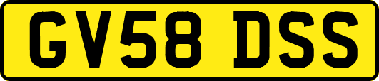 GV58DSS
