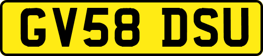 GV58DSU