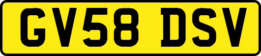 GV58DSV