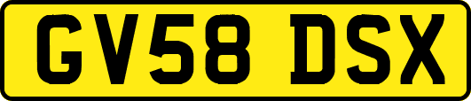 GV58DSX