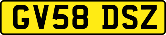 GV58DSZ