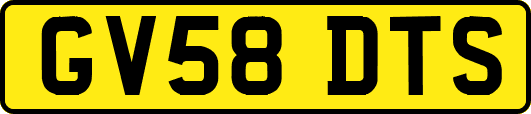 GV58DTS