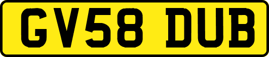 GV58DUB