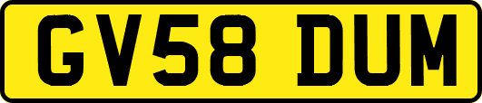 GV58DUM