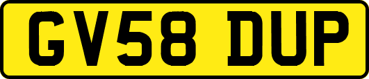 GV58DUP