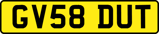 GV58DUT