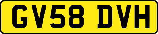 GV58DVH