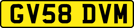 GV58DVM