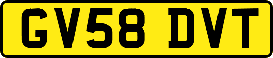 GV58DVT