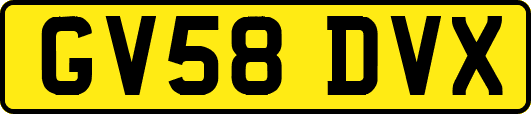 GV58DVX