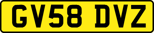 GV58DVZ