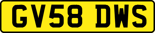 GV58DWS