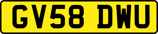 GV58DWU