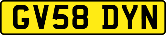GV58DYN