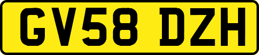 GV58DZH