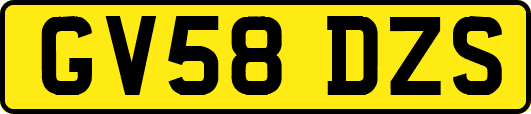 GV58DZS