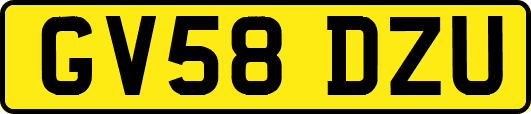 GV58DZU