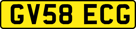 GV58ECG