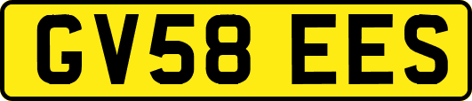 GV58EES