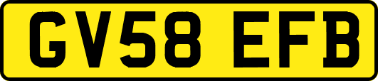 GV58EFB