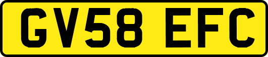 GV58EFC