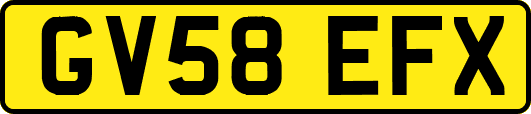 GV58EFX