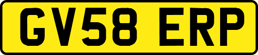 GV58ERP