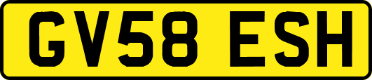GV58ESH