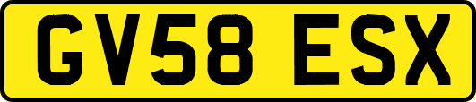 GV58ESX