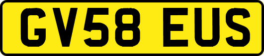 GV58EUS