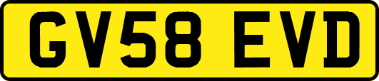 GV58EVD