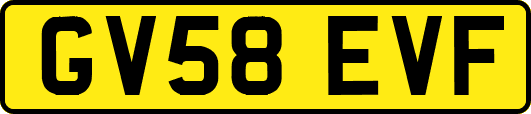 GV58EVF