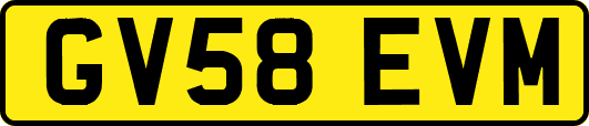 GV58EVM