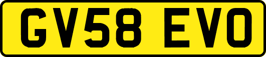 GV58EVO