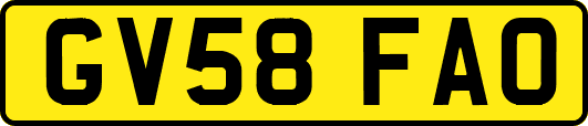 GV58FAO