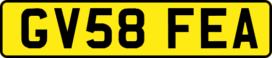 GV58FEA