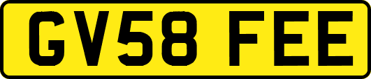 GV58FEE