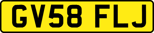 GV58FLJ